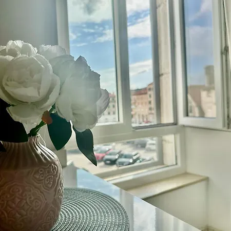 Pulse Apartment Split